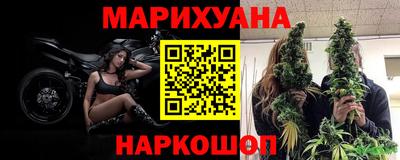 spice Кинель