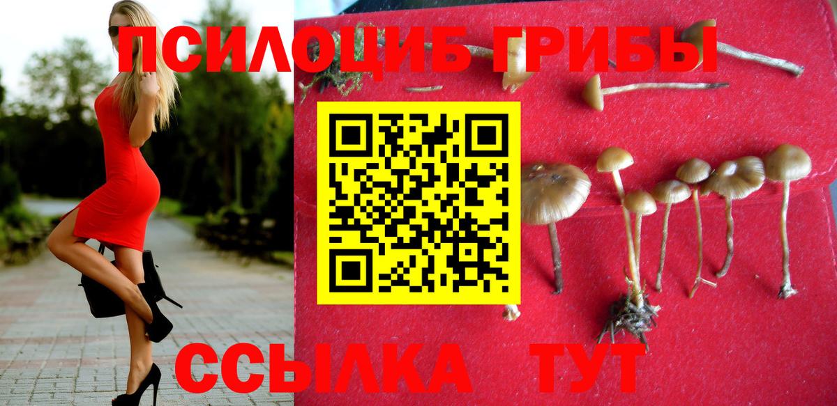 Галлюциногенные грибы мицелий Коряжма
