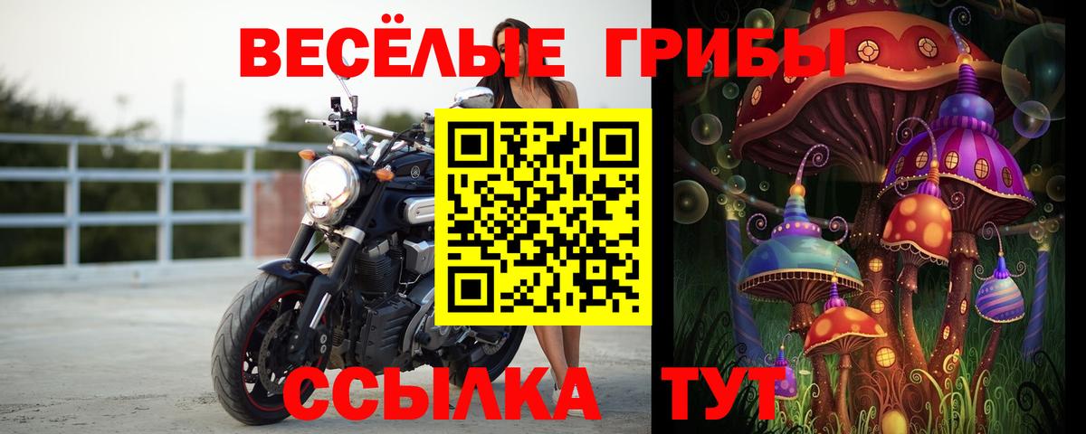 Коряжма  Галлюциногенные грибы GOLDEN TEACHER  Галлюциногенные грибы Psilocybine cubensis  Вход с VPN 
